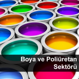 Boya ve Poliüretan Sektörü