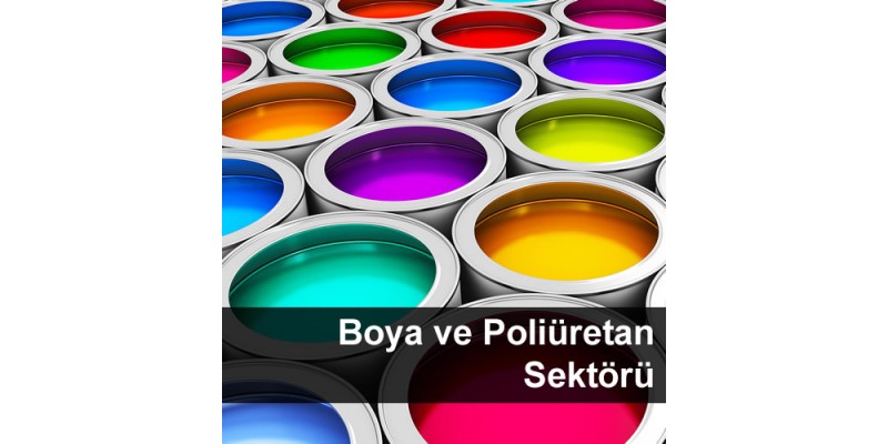 Boya ve Poliüretan Sektörü