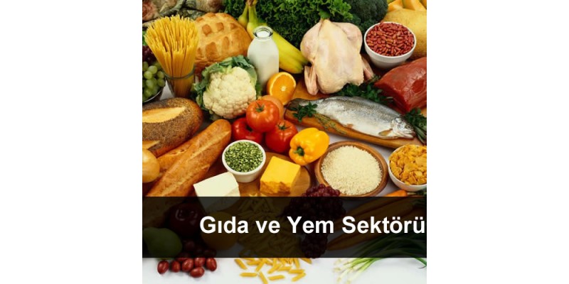 Gıda ve Yem Sektörü